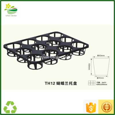 China Flower Seedling Trays Quality Butterfly Orchid Trays Plastic Orchid Saucers Wholesale for sale