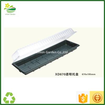 China Cheap Morden Hydroponics Seedling Growing Trays Tray With Cover for sale