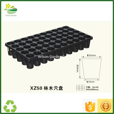 China Morden Seeding Tray for Tree Seedling Tray Planter for sale