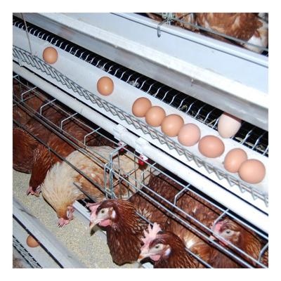 China Easy Manage Chicken Cage Layer Cage Egg Hen Cage For Poultry Farm for sale