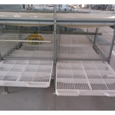 China Battery Chicken Cage Farms Broiler H Type With Automatic Feeding And Drinking System For Large Poultry Farm Global Marketing for sale