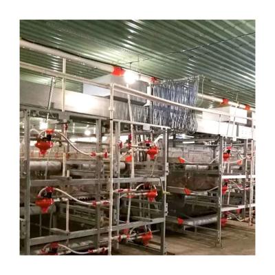 China Full Automatic Galvanized 4 Tier Battery Automatic Meat Chicken Feeding Cage For Poultry Fram/Farming Meat Broiler Raising Equipment for sale