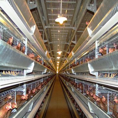 China Automatic Farms Havest System For Broiler Cage Of Poultry Farming Equipment for sale