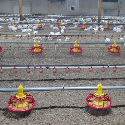 China Corrosion Resistant China Customized Broiler Pan Feeding Line Meat Chicken Floor Feeding System for sale