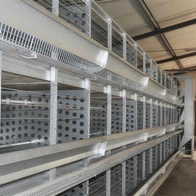 China China anti-corrosion factory manufacture poultry breeder cage, battery rearing chicken cage for poultry farm in Philippines for sale