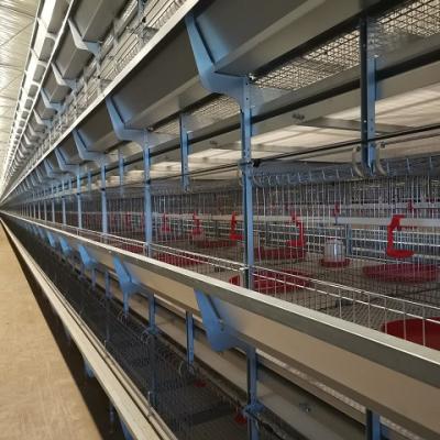 China Farms Best Price Automatic Battery Pullet Cage Cage For Sale for sale