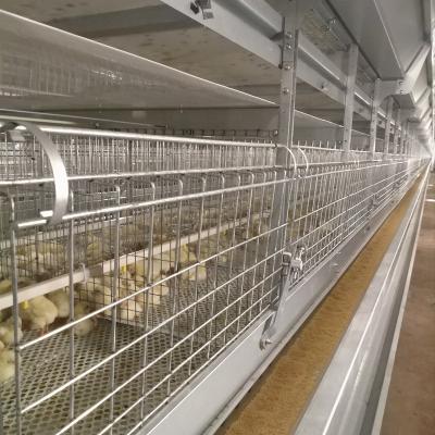 China Battery Brood Room H Type Corrosion Resistant Day Old Chicks Cage Systems Box Raising 50000 Birds for sale