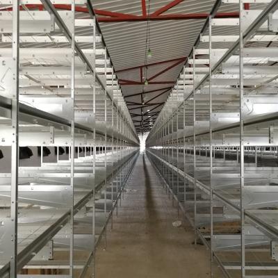 China China factory anti-corrosion poultry chick cage battery chick making cage for poultry farm in Guinea for sale