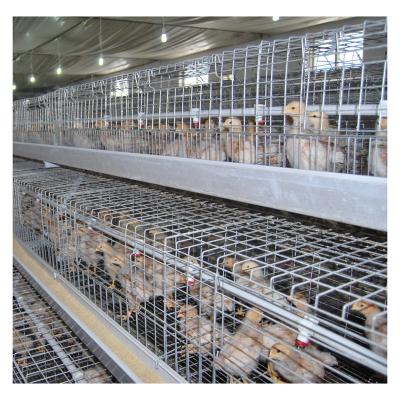 China Hot Galvanized Best Price Automatic Battery Baby Chicks Cages Full In Chicken Cage With Automatic Hen Equipment for sale