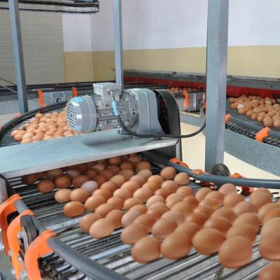 China Farms Newly Designed Poul Tech Galvanized A Frame Pullet Chicken Cage System Layer With Great Price for sale