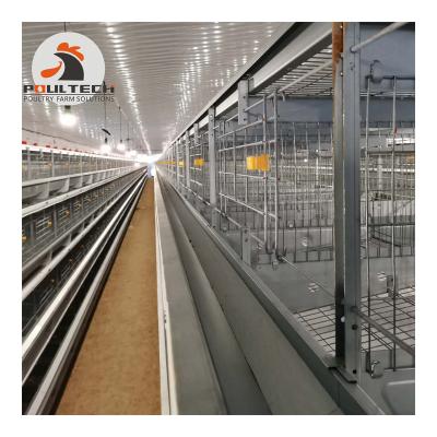 China New design poultry farmegg laying hen battery cages for sale with egg collection system/machine farm equipment for sale