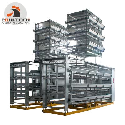 China New Design China Factory Poultry Farm Used A Type Ladder Layer Chicken Cages With Egg Collection System / Farm Machine Equipment for sale