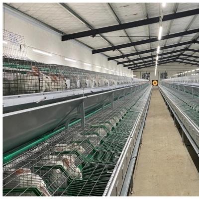 China New Good Quality Equipment Poultry Rabbit Full Automatic Full Automatic Breeding Cage for sale