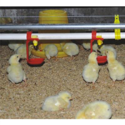 China Corrosion Resistant Plastic Rising Broiler Floor Slatted System With Automatic Nipple Drinker Line for sale