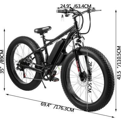 China Multifunctional newcomer USA warehouse power sport electric bike strong current electric bike 500W 750W fat tire with LCD display disc brake for sale