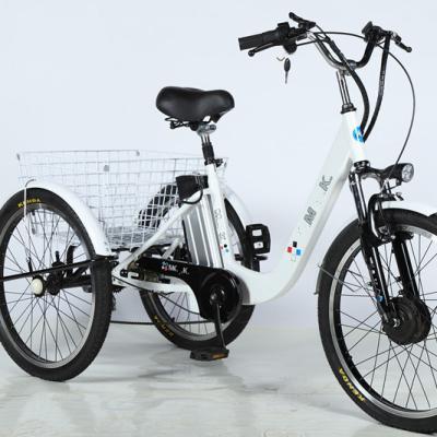 China EU Popular Electric Children's Old Men's Electric Children's Bicycle Three Wheel Cargo Outdoor Tournament Vehicle E-Bike for sale