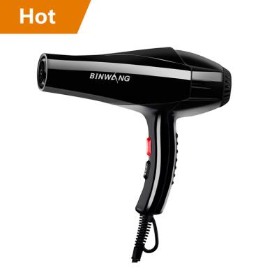 China BLDC Hot And Cold Wind Motor Hair Dryer Blue Lightweight Expanded Air Volume New Cat Hair Dryer for sale