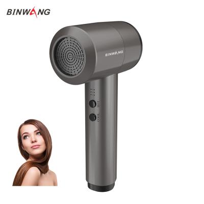 China Korea Japan Rechargeable Cordless Hair Dryer 300w Handheld Rechargeable Hair Dryer Car Hair Dryer Maket in 2021 for sale