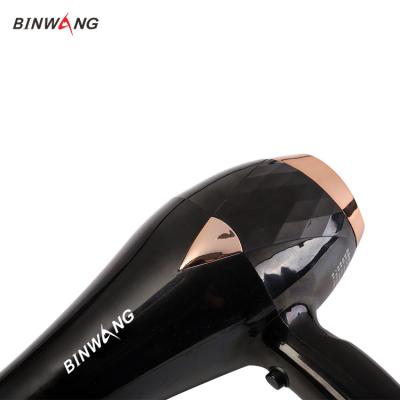 China Hair dryer sale maid 2021 homothermal professional supply high speed hair dryer by ac motor for sale