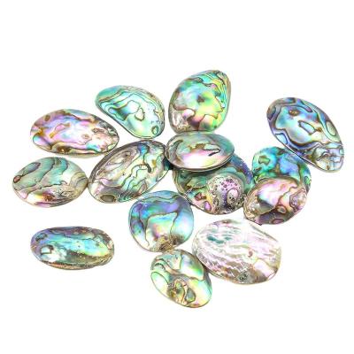 China Colorful Abalone Shell Charms Pendant Craft Beads Natural Single Side TRENDY For Jewelry Making Earring Necklace Accessories for sale