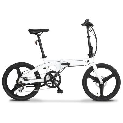 China Aluminum Electric Bike 20 Inch 48V750W Electric Folding Bicycle For Adult for sale