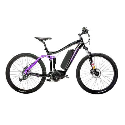 China Aluminum Electric Bike 7 Speed ​​Aluminum Mountain Bike Frame Fast Speed ​​Electric Bike for sale