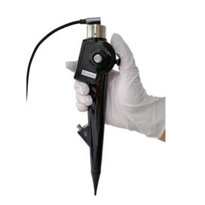 China Vet Clinic Cost Effective Veterinary Endoscope Bronchoscope Veterinary System For Sale for sale