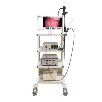 China Veterinary Clinic Factory Outlet Endoscope Veterinary Equipment Veterinary Laparoscope System for sale