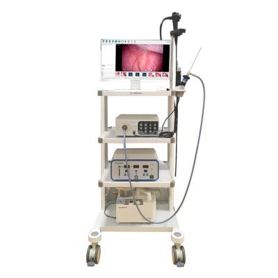 China Veterinary Clinic China Supplier Endoscope Veterinary Camera Laparoscope System for sale