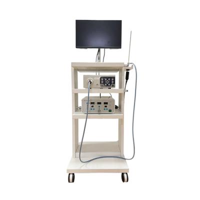 China Veterinary Clinic Supply Professional Cheap Veterinary Endoscope Visual Laparoscope System for sale