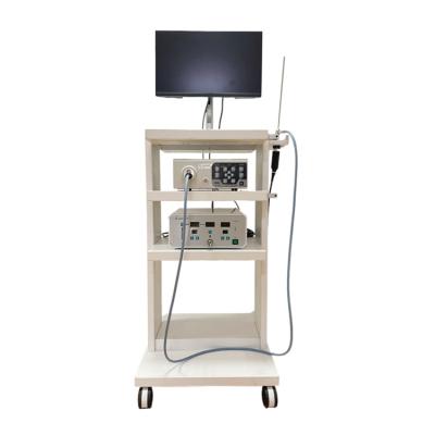 China Hot Sale Veterinary Clinic Endoscope Veterinary Instrument Veterinary Laparoscope System for sale