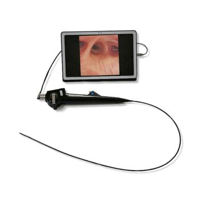 China Hot Selling Veterinary Clinic Digital Veterinary Endoscope Bronchoscope Veterinary System For Small Animals for sale