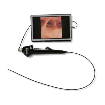 China Sales Professional Flexible Veterinary Endoscope Veterinary Clinic Supply Veterinary Bronchoscope System for sale