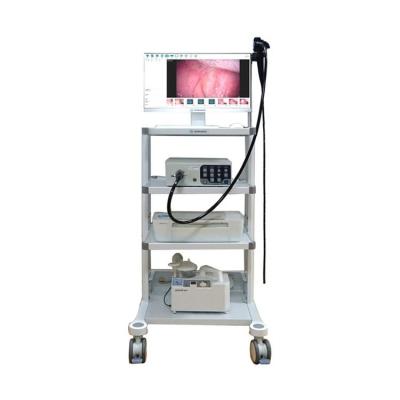 China Veterinary Clinic China Supplier Portable Veterinary Endoscope Veterinary Gastrointestinal System for sale