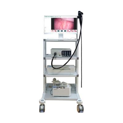 China Veterinary Clinic New Product Portable Veterinary Endoscope Veterinary Gastrointestinal System for sale