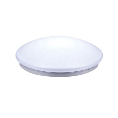 China 2021 Wholesale Modern Single Bedroom Ceiling Light Security Ceiling Lamp for sale