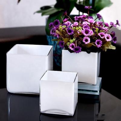 China Ailuya Creative Black And White Square Square Glass Jar Square Glass Container Porcelain Contracted White White Candlestick for sale