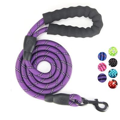 China Thoughtful Dog Leash Nylon Sponge Handle For Medium Large Dogs Dedicated Rope Dog Leash for sale