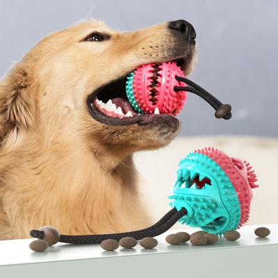 China Interactive Toy Viable Molar Clean Tooth Leaking Dog Food Ball Express Chew Dog Toys for sale