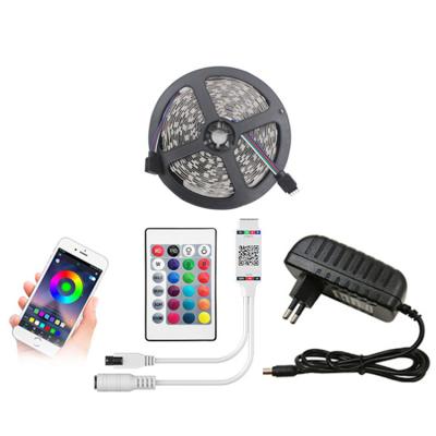 China Portable Waterproof Ip65 APP Control Christmas Smart Rope Light Up 5050 SMD RGB LED Strip Light for sale