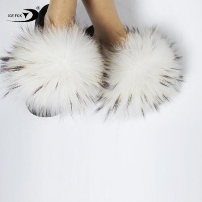 China Lightweight Promotion Free Sample High Quality Event Raccoon Fur Home Slippers For Women for sale