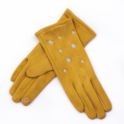 China Simple Factory Customize Fashion Winter Warm Touch Screen Womens Snow Gloves for sale