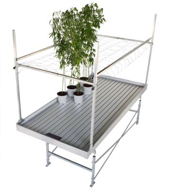 China Movable sells factory price professional greenhouse ebb and wholesale flood table rolling system for sale