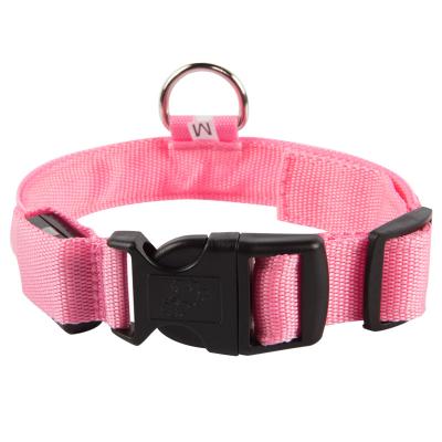 China USB Rechargeable Lights Safety LED Dog Collar With Water Resistant Flashing Light for sale