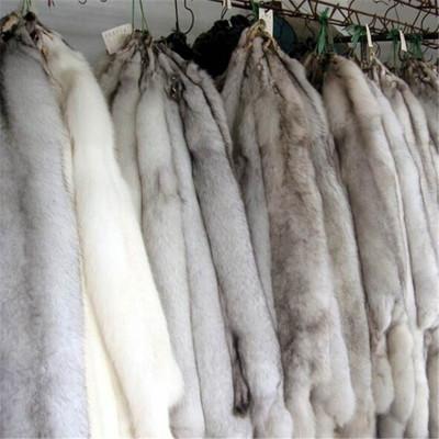 China Real fox skin upholstery blue fox fur auto natural skin high quality fox skin for sale for sale