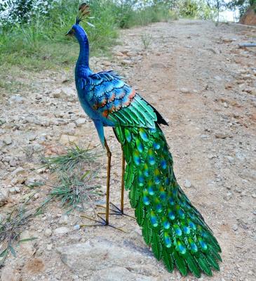 China Garden Outdoor Hand Painting Garden Outdoor Metal Decorative Peacock for sale