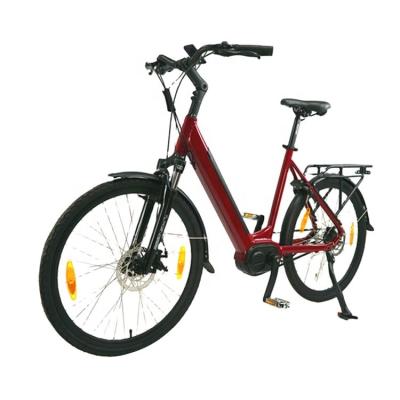 China OEM Eco-friendly Electric Bike Mid Motor Electric Road Bike 2 Seat Electric Bike for sale