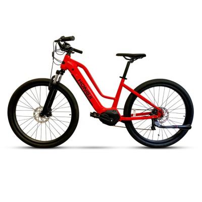 China Hot City Electric Bike Aluminum Alloy Outdoor Sports Bicycle Mountain Bike Electric Tire Ebike Fat for sale