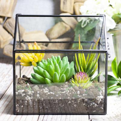 China Large Eco - Friendly House Shape Black Glass Metal Mini Greenhouse Tabletop Succulent Plant With Light for sale