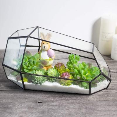 China Eco-Friendly Large Black Frame Mini Greenhouse Plant Plant Vase Geometric Glass Container For Home Garden Indoor Decoration for sale